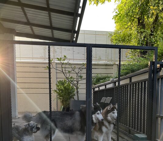 ป้องกันสุนัขหลุดออกจากบ้านด้วยรั้วกันสุนัขเหล็กฉีก รั้วกันสุนัข